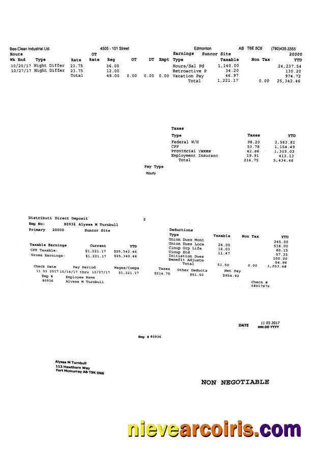 Bee Clean Industrial Ltd. PayStub